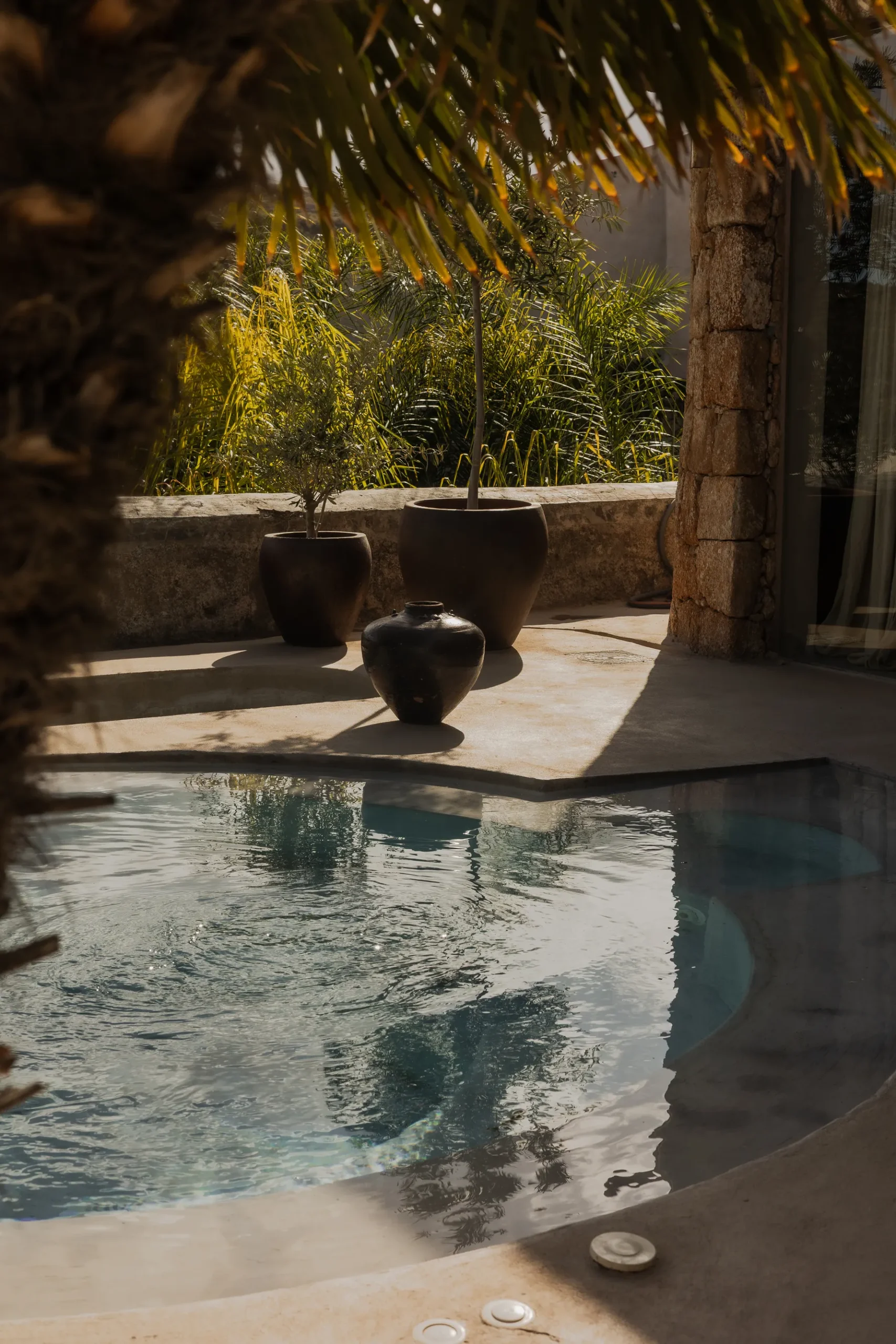 EcoHotel El Agua, view 2